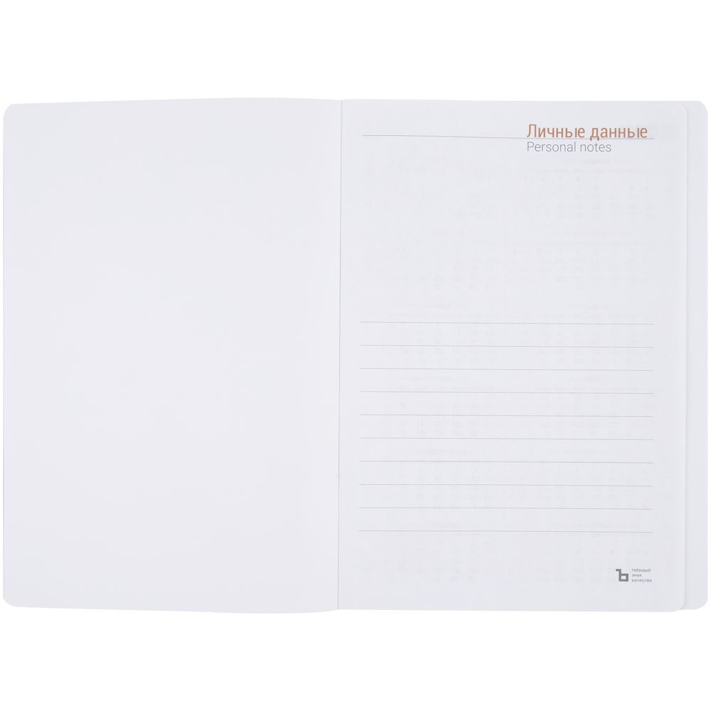 Ежедневник Basis, датированный, красный — изображение 5