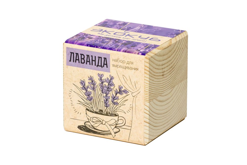 Набор для выращивания «Экокуб», лаванда — изображение 4